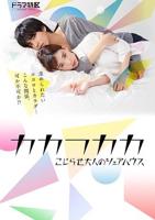 日剧《可以不可以》电视剧在线播放